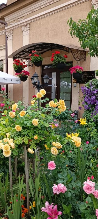 Casa Domneasca Rarau Hotell Câmpulung Moldovenesc Eksteriør bilde